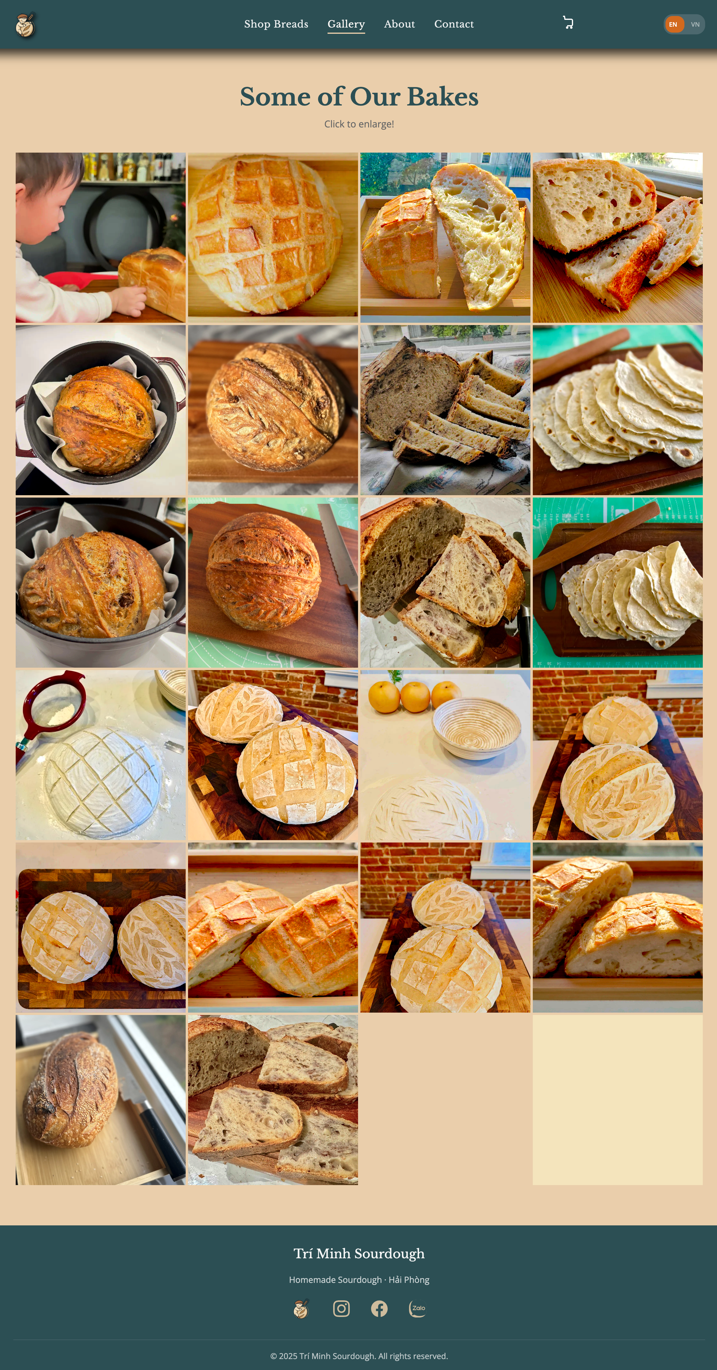 Gallery of bakes